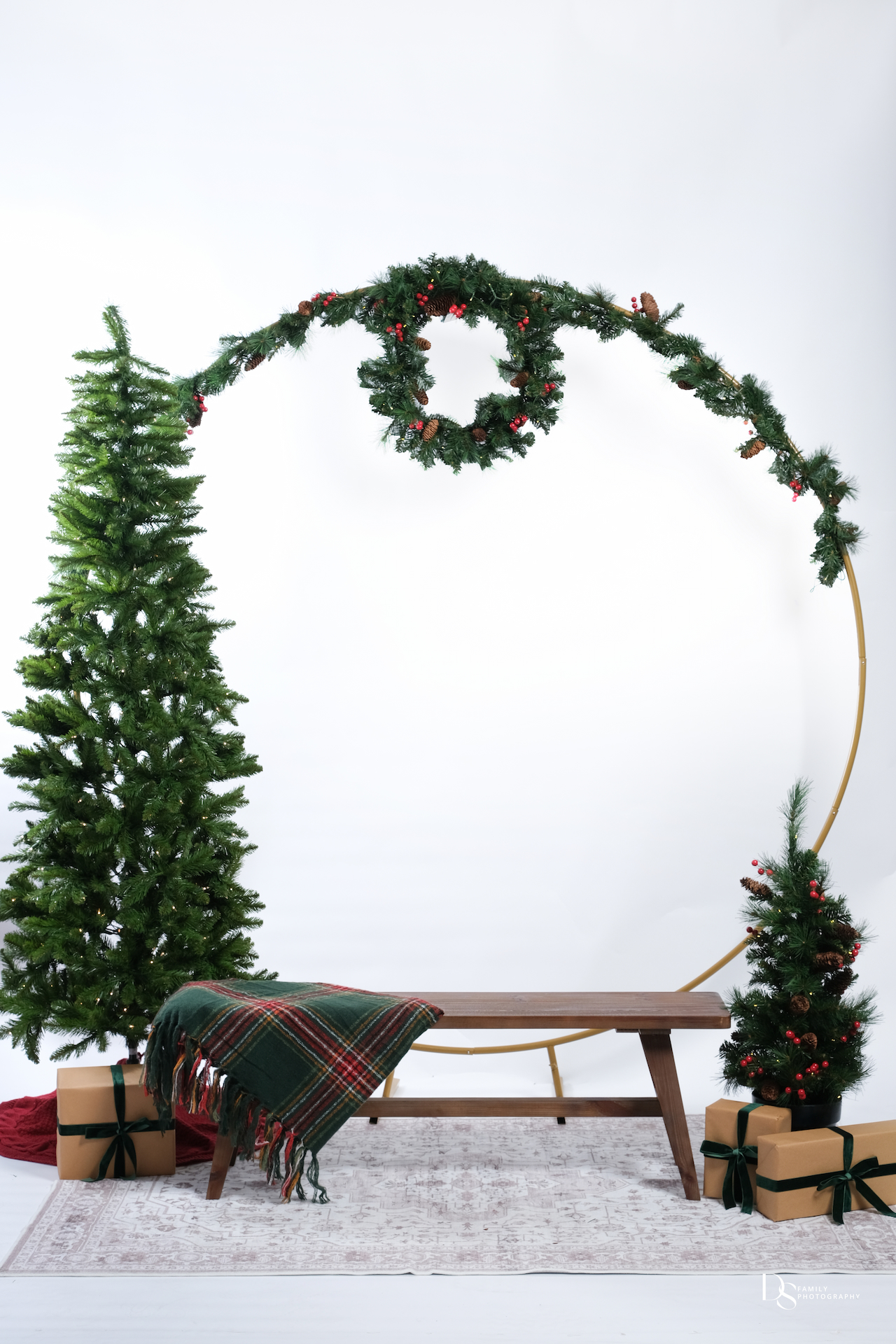 Christmas Mini Session Preview